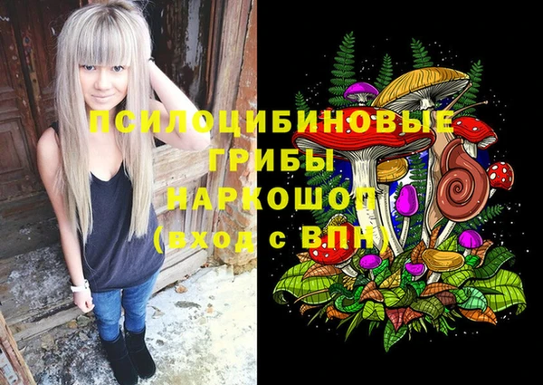 СК Алзамай