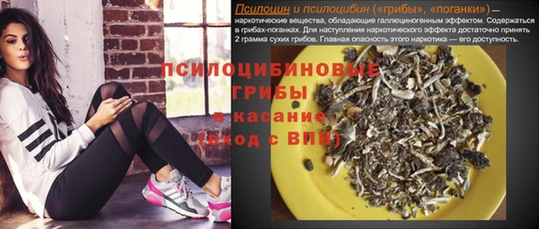 СК Алзамай