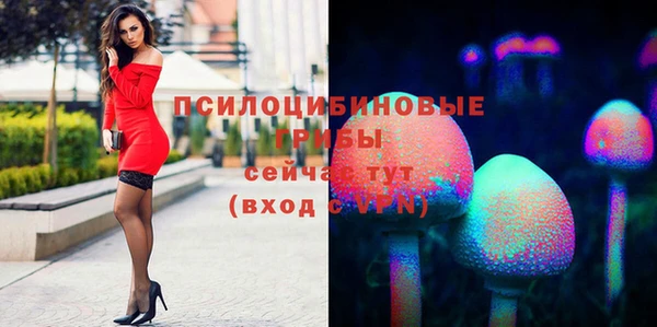 СК Алзамай