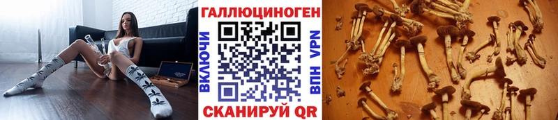 Псилоцибиновые грибы Psilocybine cubensis  shop официальный сайт  Выкса 