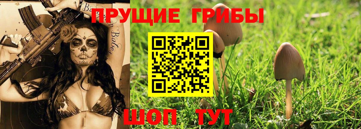 Галлюциногенные грибы MAGIC MUSHROOMS Выкса